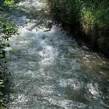 بيت ضيافة Le Rondini *