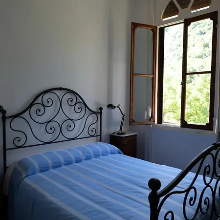 Le Rondini