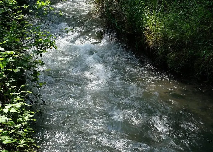 Pensjonat Le Rondini *